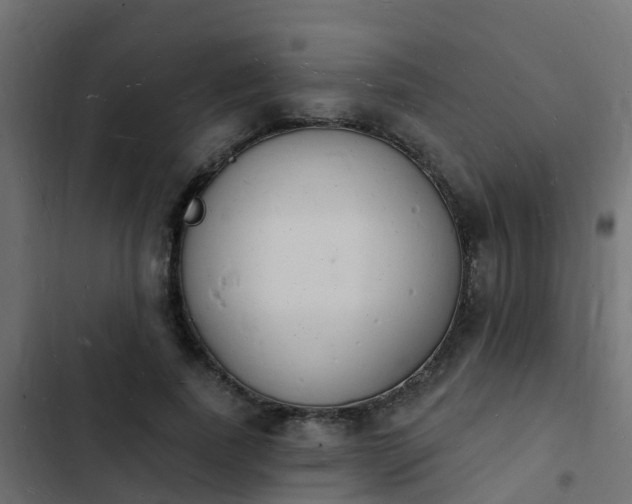 X0000103970739200809261833