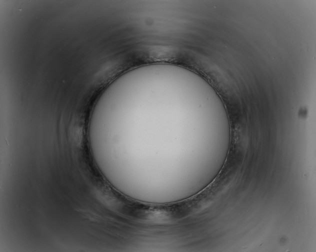 X0000103970741200809261833