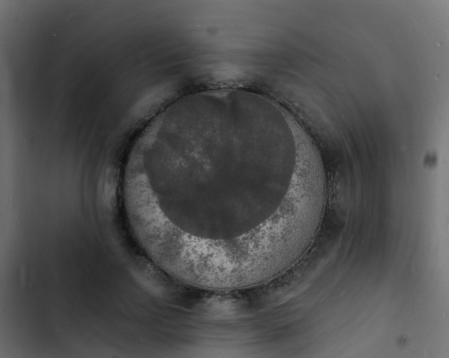 X0000103970742200809261834