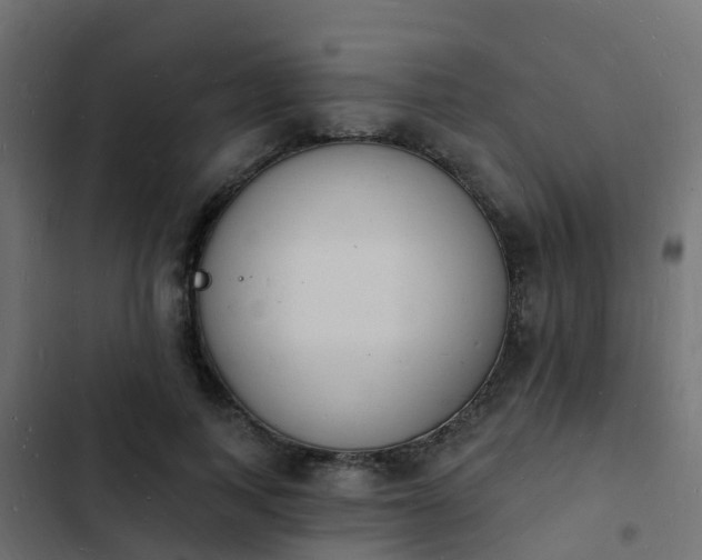 X0000103970743200809261834