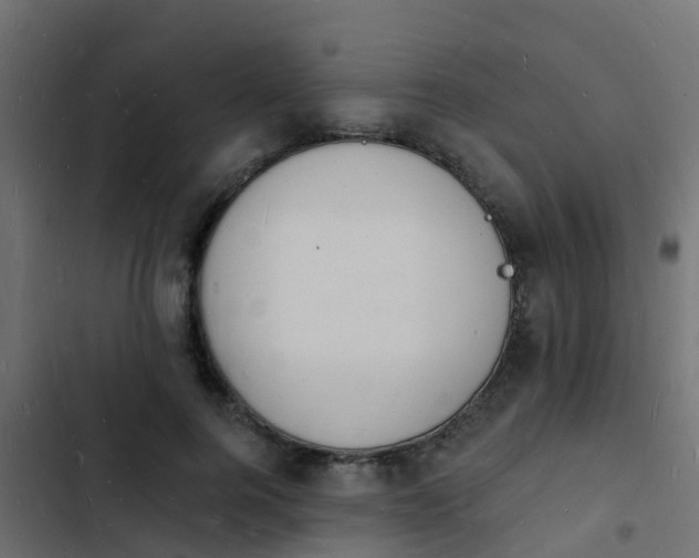 X0000103970744200809261834