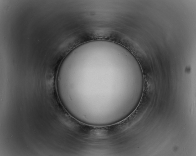 X0000103970745200809261834