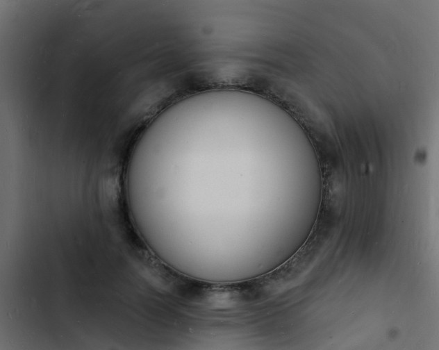 X0000103970746200809261834