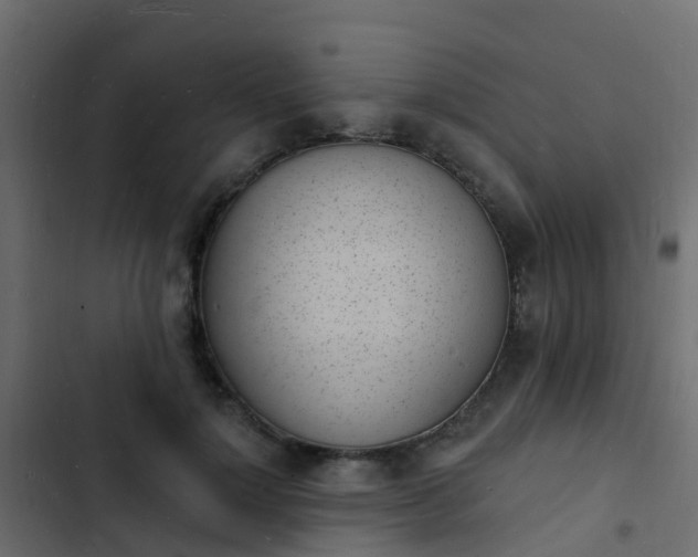 X0000103970748200809261834