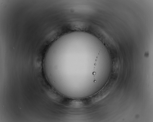 X0000103970749200809261834