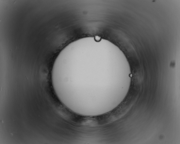 X0000103970750200809261834