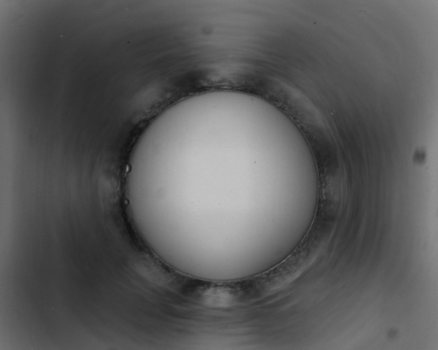 X0000103970751200809261834