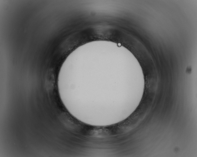 X0000103970752200809261834