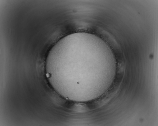 X0000103970753200809261834