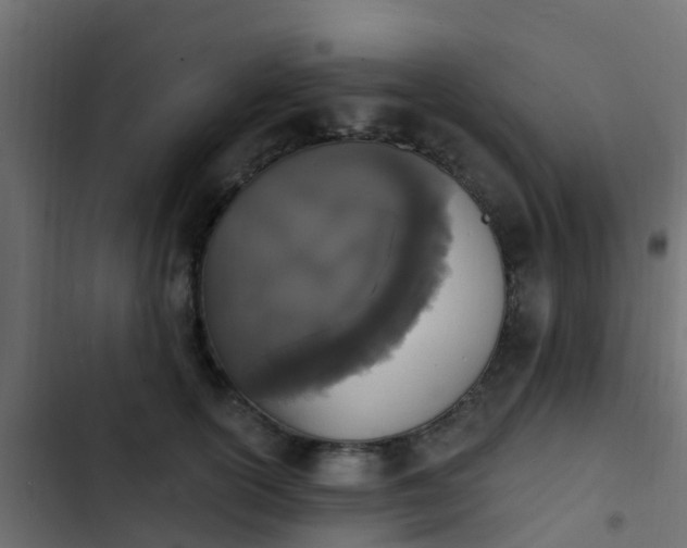 X0000103970754200809261834