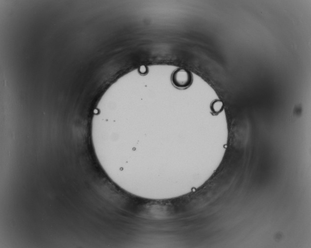 X0000103970756200809261834