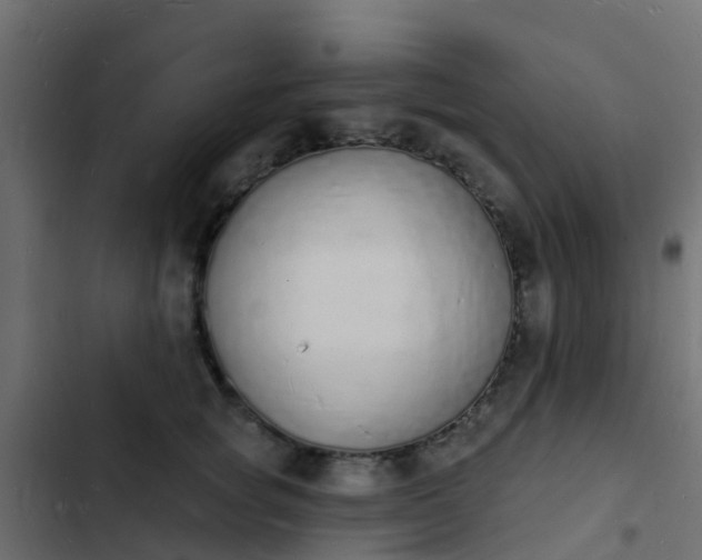 X0000103970757200809261834