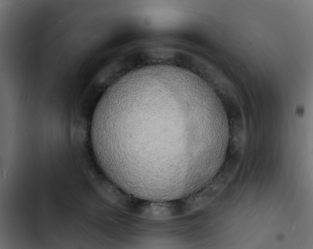 X0000103970758200809261834