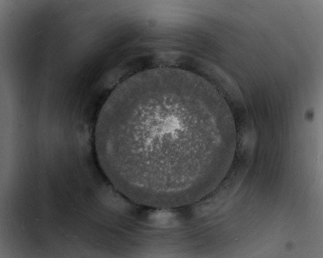 X0000103970759200809261834