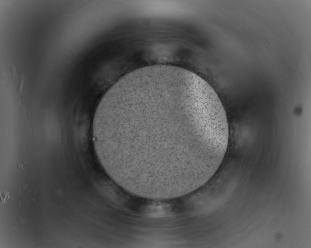 X0000103970760200809261834