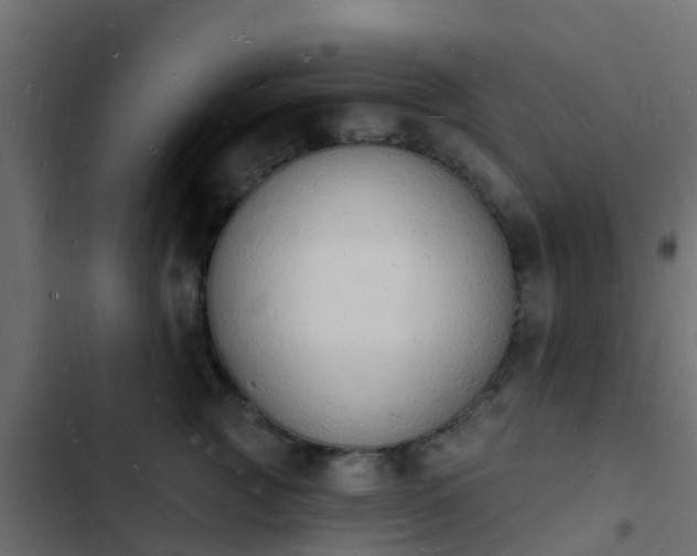 X0000103970761200809261834