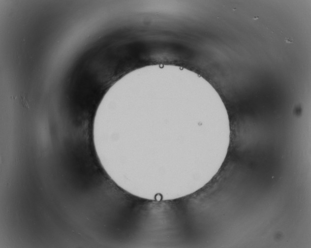 X0000103970762200809261834