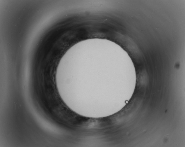 X0000103970764200809261834