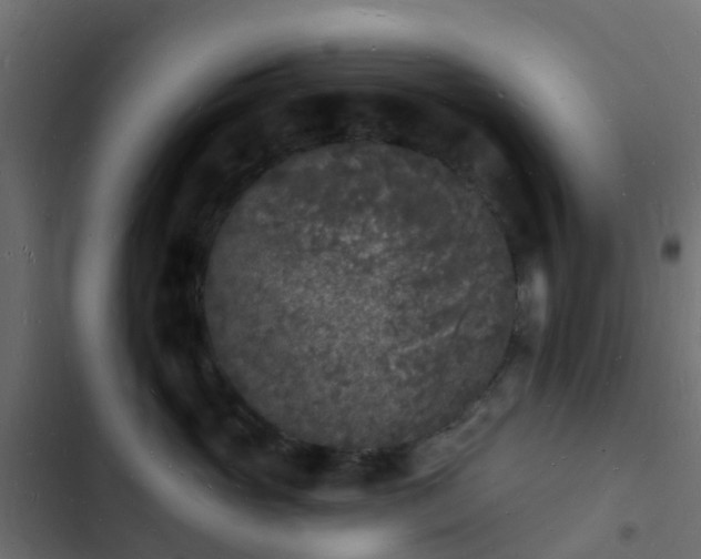 X0000103970765200809261834