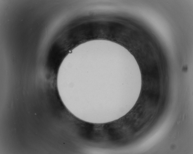 X0000103970766200809261834