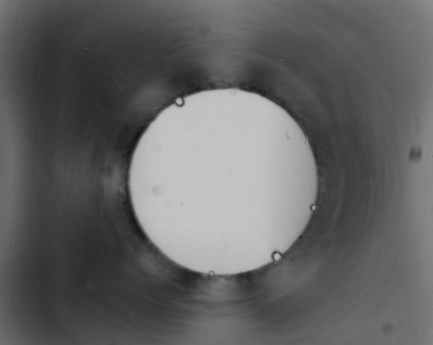 X0000103970768200809261834