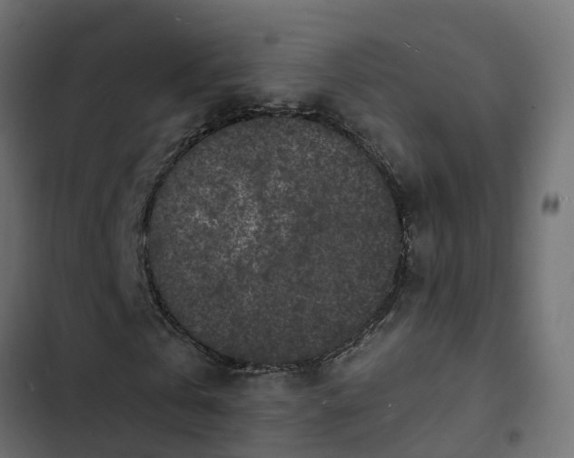 X0000103970769200809261833