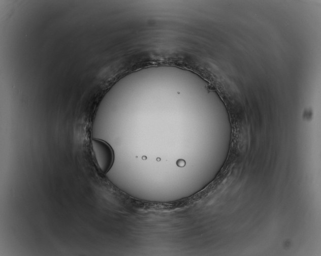 X0000103970770200809261833