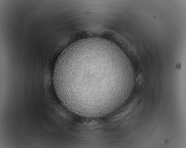 X0000103970772200809261833