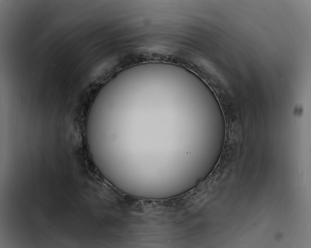 X0000103970774200809261833