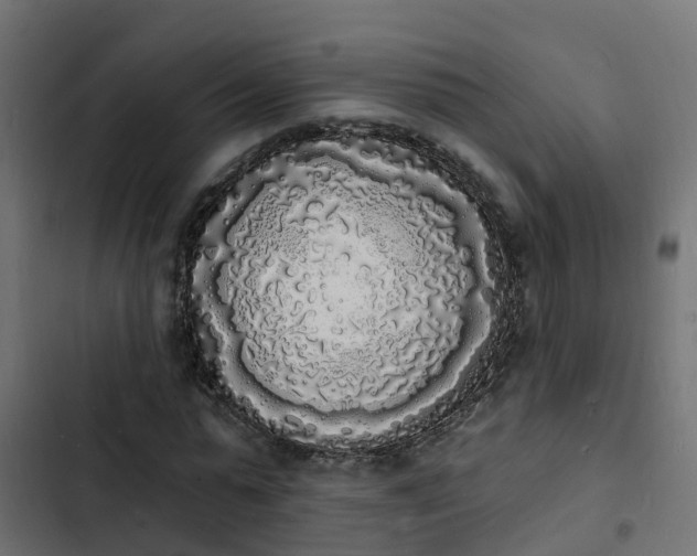 X0000103970775200809261833