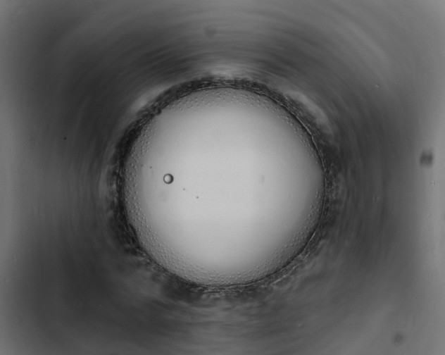 X0000103970776200809261833