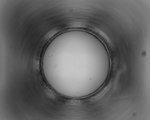 X0000103970777200809261833