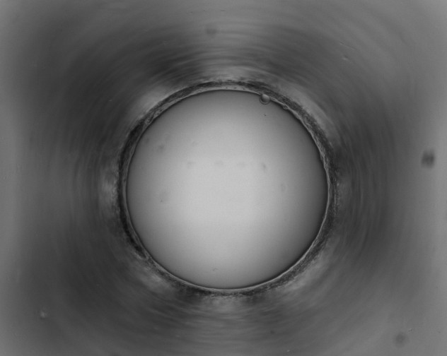 X0000103970778200809261833