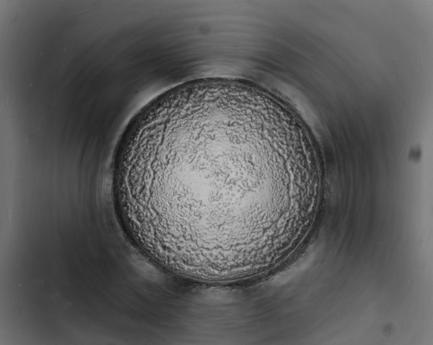 X0000103970779200809261833