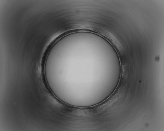 X0000103970780200809261833