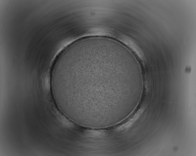 X0000103970781200809261833