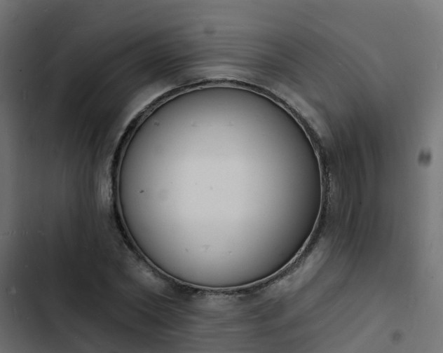 X0000103970782200809261833