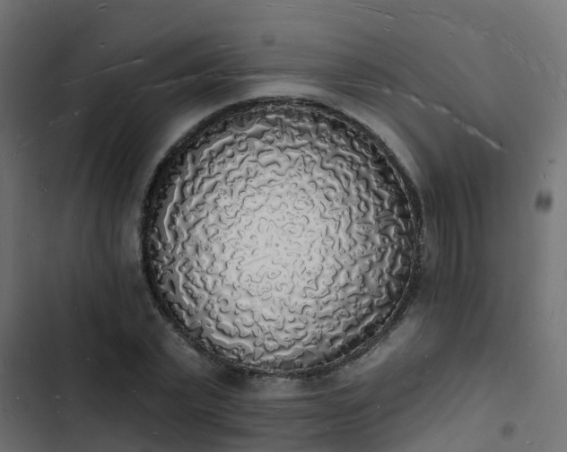 X0000103970783200809261833