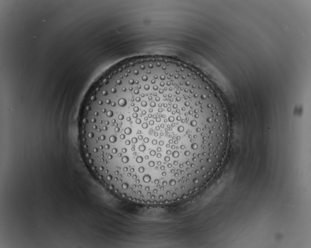 X0000103970784200809261833