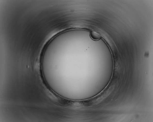 X0000103970787200809261833