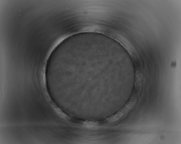 X0000103970788200809261833