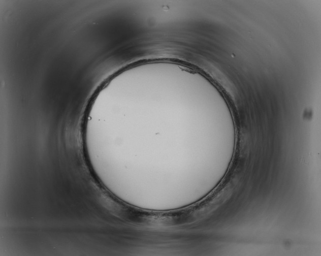 X0000103970789200809261833