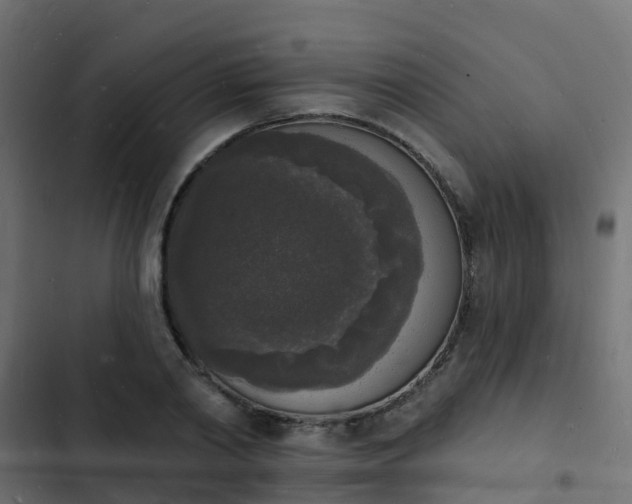 X0000103970790200809261833