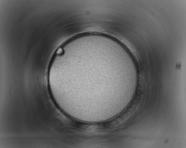 X0000103970791200809261833