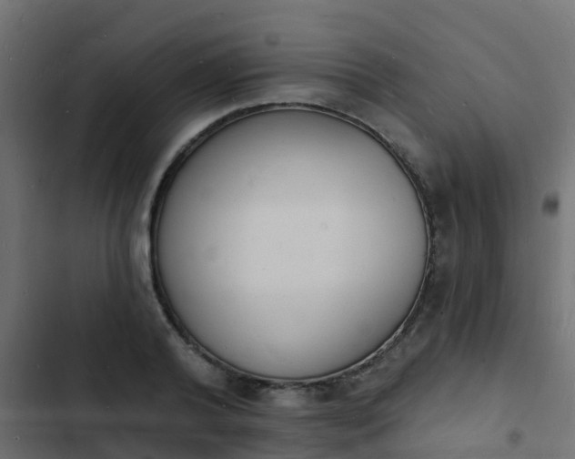 X0000103970792200809261833