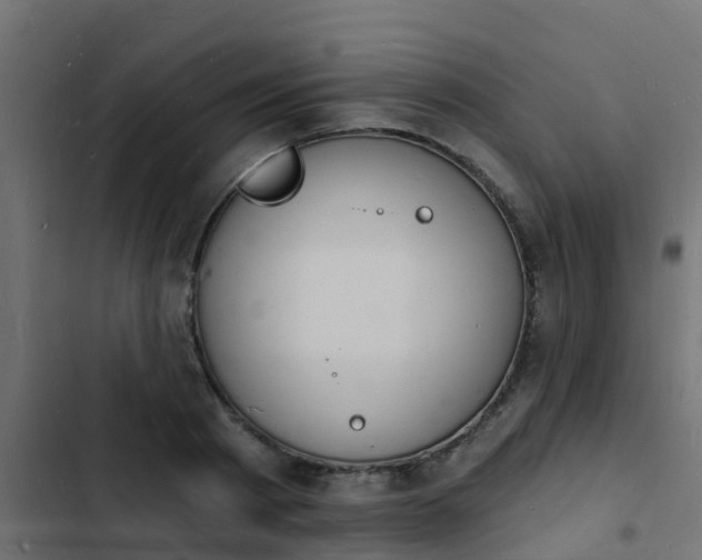 X0000103970793200809261833