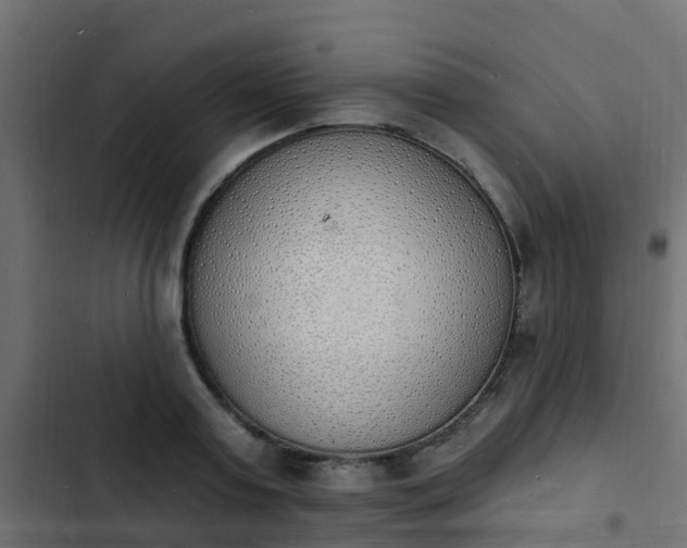 X0000103970795200809261833