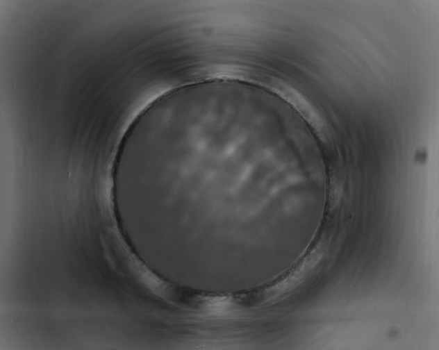 X0000103970798200809261833