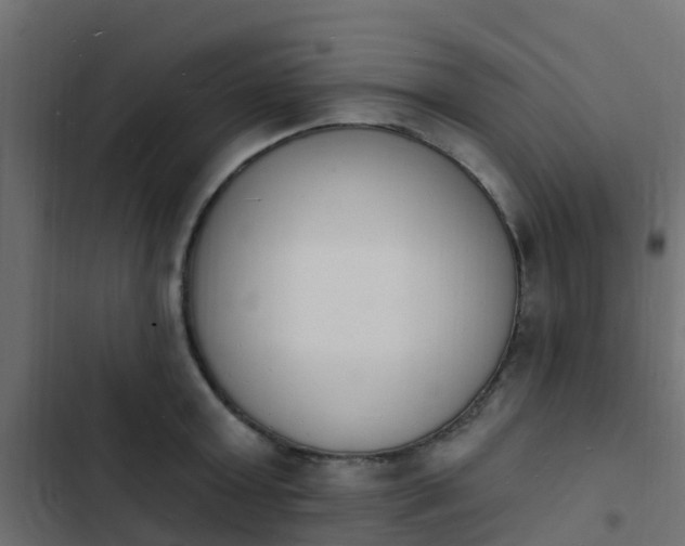 X0000103970803200809261833