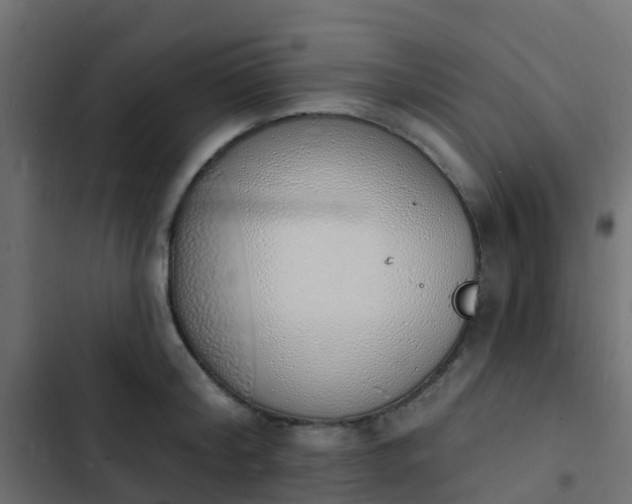 X0000103970804200809261833